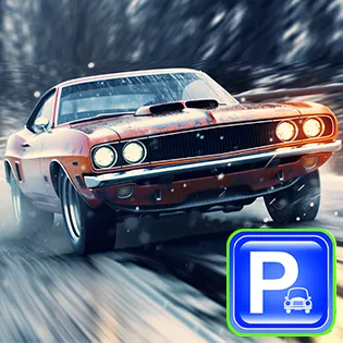 Real Car Parking