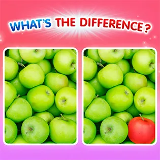 What's The Difference?
